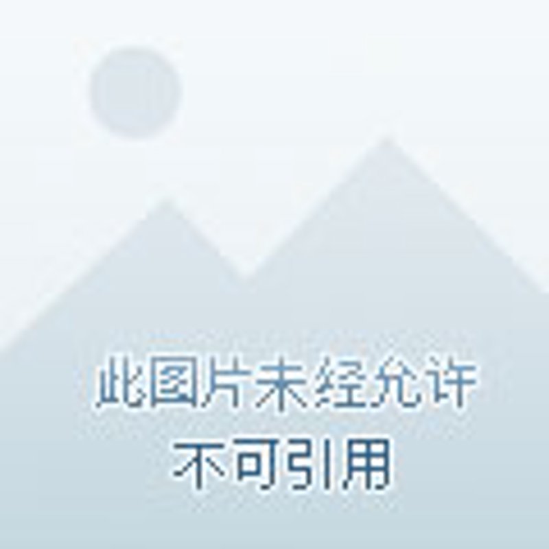 周易占卜：古代智慧与现代生活的交汇点