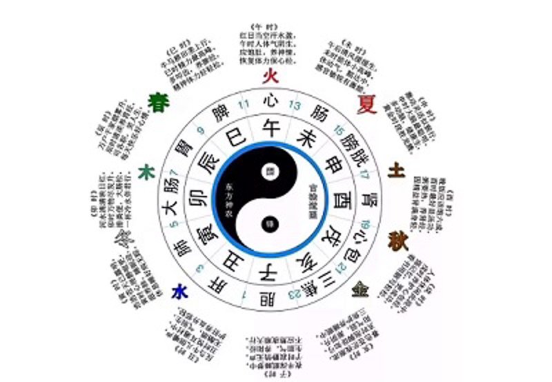 八字排盘：解读命运的艺术